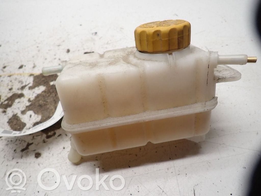 Chevrolet Aveo Zbiornik wyrównawczy chłodziwa 