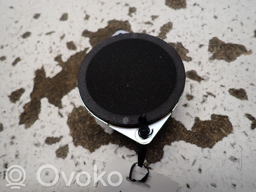 Dodge RAM Panel speaker 