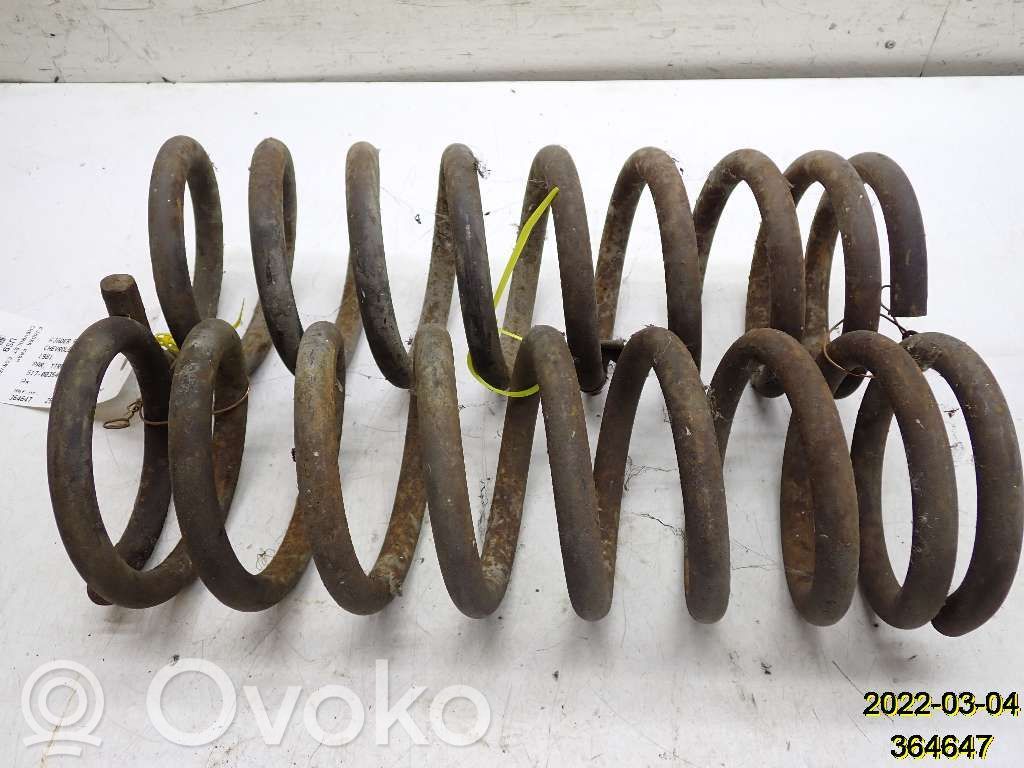 Front coil spring   51700354