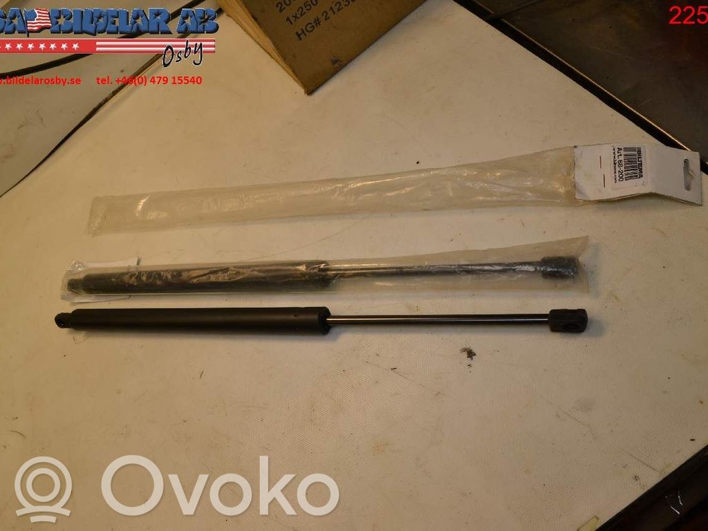 Jambe de force de hayon   68200