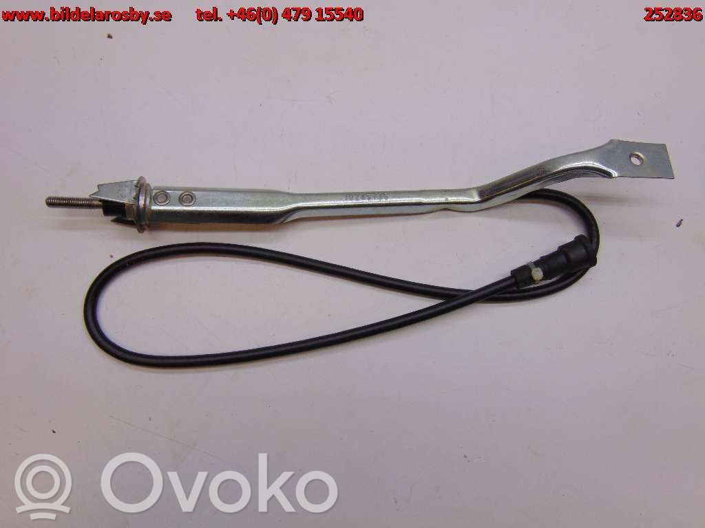 Antenna autoradio   10245736