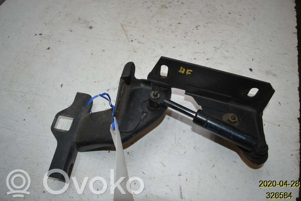 Engine bonnet/hood hinges   11800378R