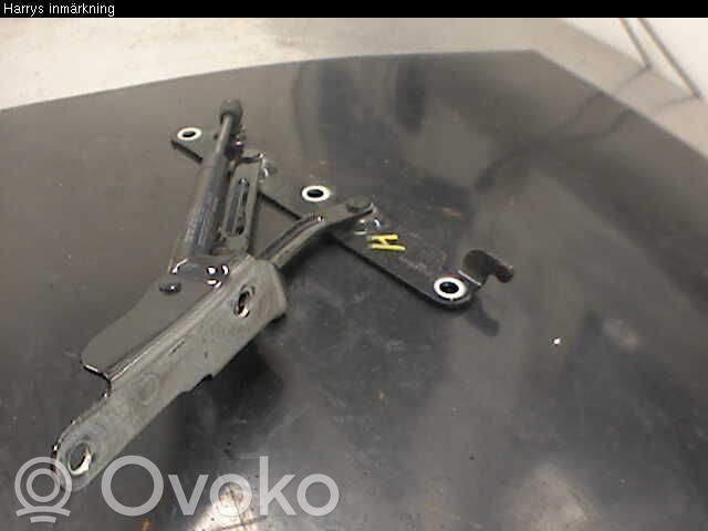 Tailgate/trunk/boot hinge   30799275