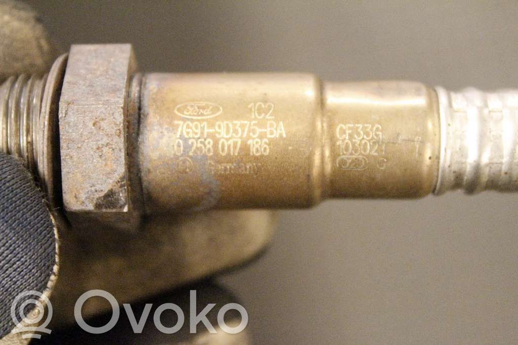 Sonde lambda   31422345,0258017186
