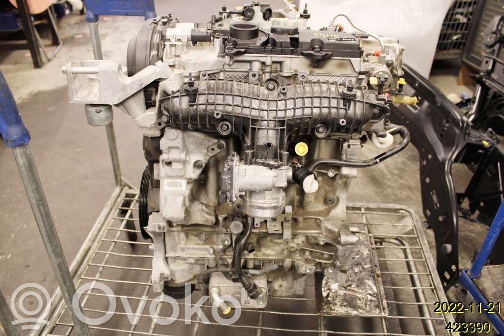 Variklis   36010322,6906450,B4204T37