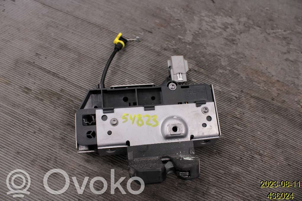 Loading door lock   31253053