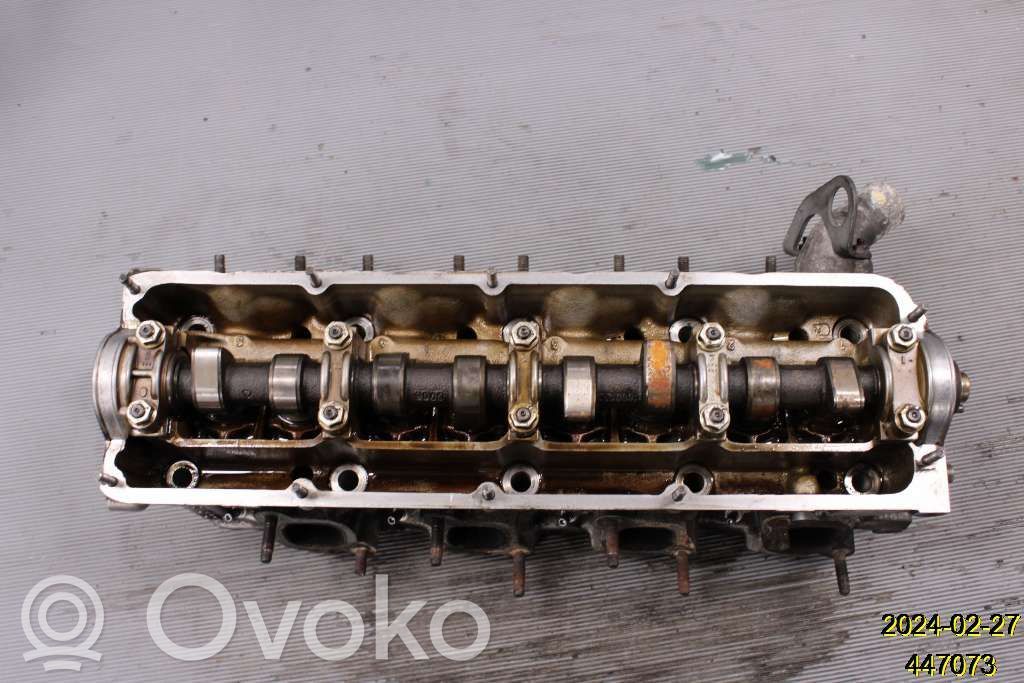 Galvutė   5003546,1277678,530