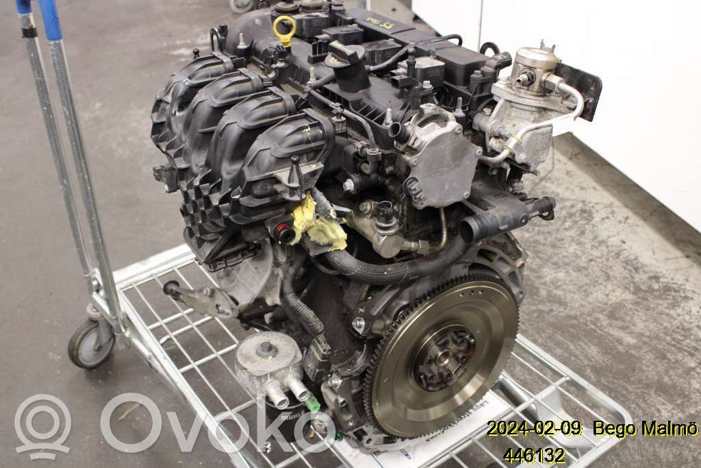Variklis   36001989,6906265,B4204T7