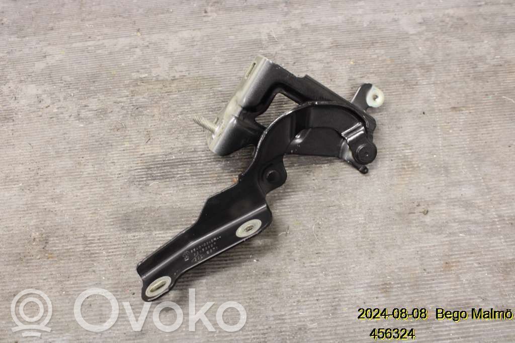 Renault Trafic III (X82) Engine bonnet/hood hinges 