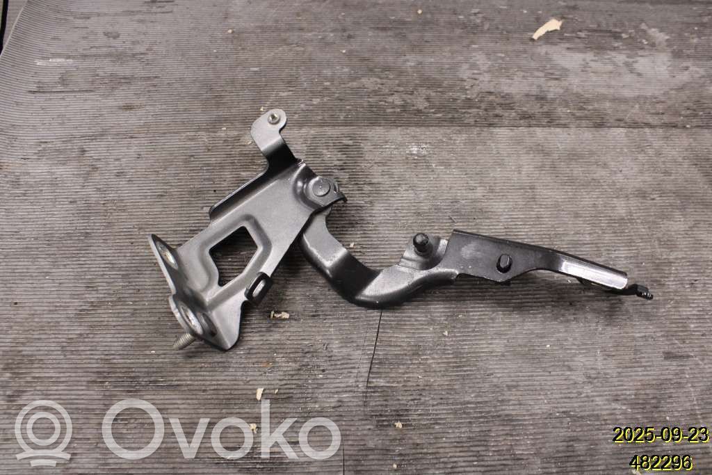Renault Trafic III (X82) Engine bonnet/hood hinges 