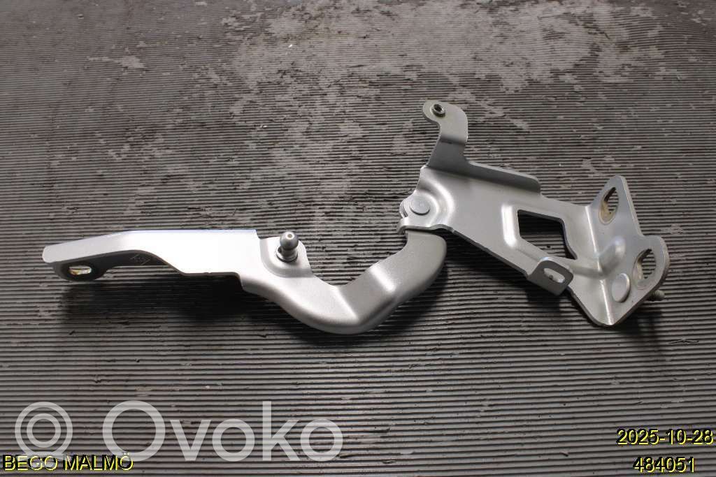 Renault Trafic III (X82) Engine bonnet/hood hinges 