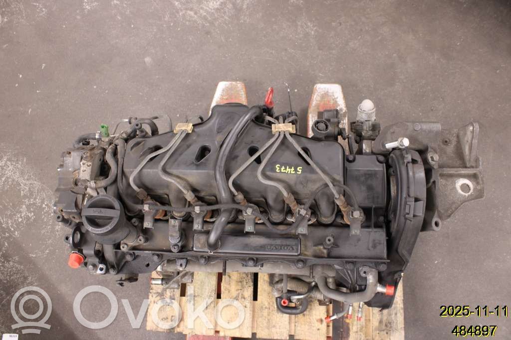 Variklis   36050451,6906105,D5244T4