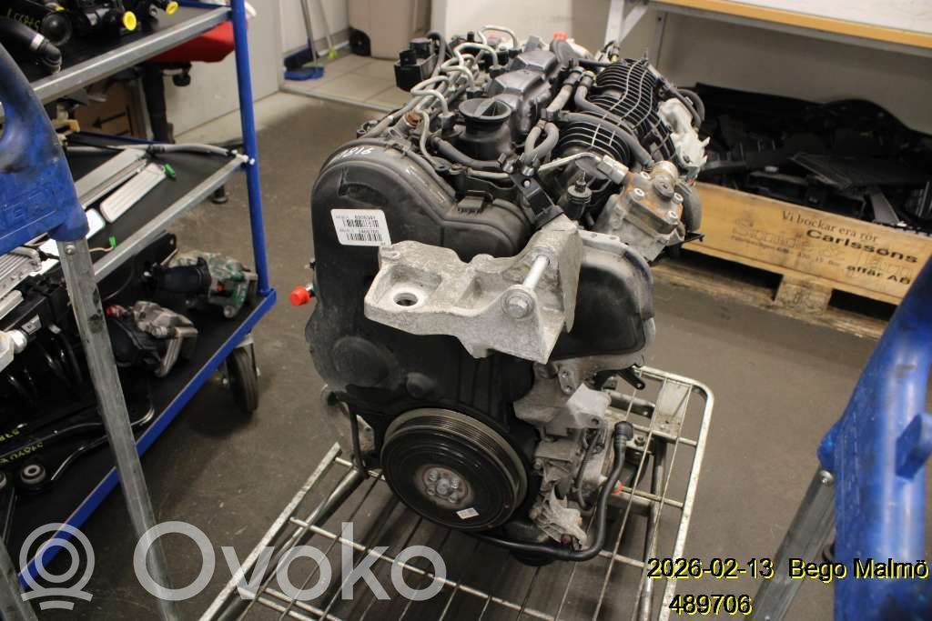 Variklis   36010065,6906341,D4204T9