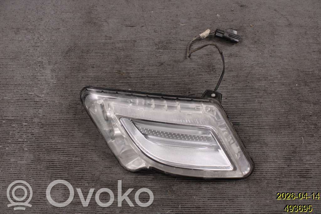 Etusuuntavilkku   31278557