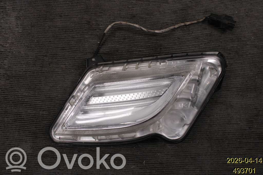 Frontblinker   31278558
