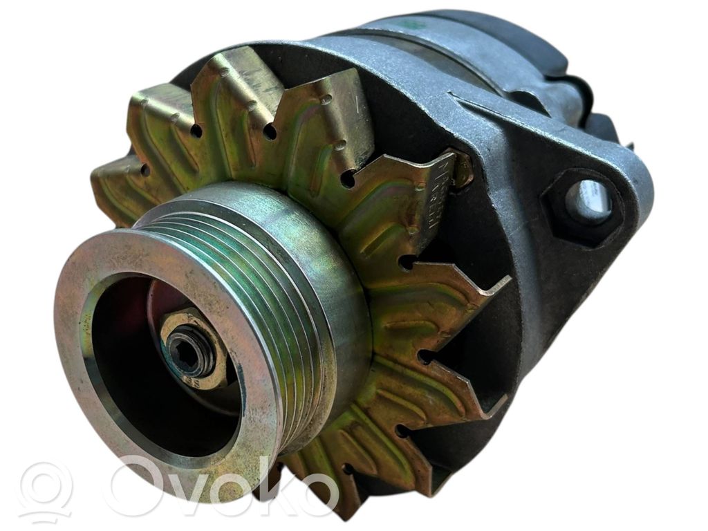 Generatorius   46445096