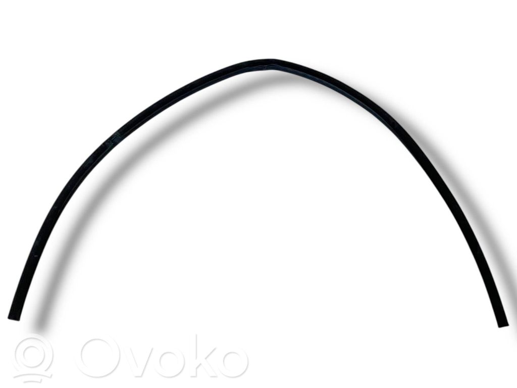 Fiat Bravo Priekinė sandarinimo guma ant kėbulo 