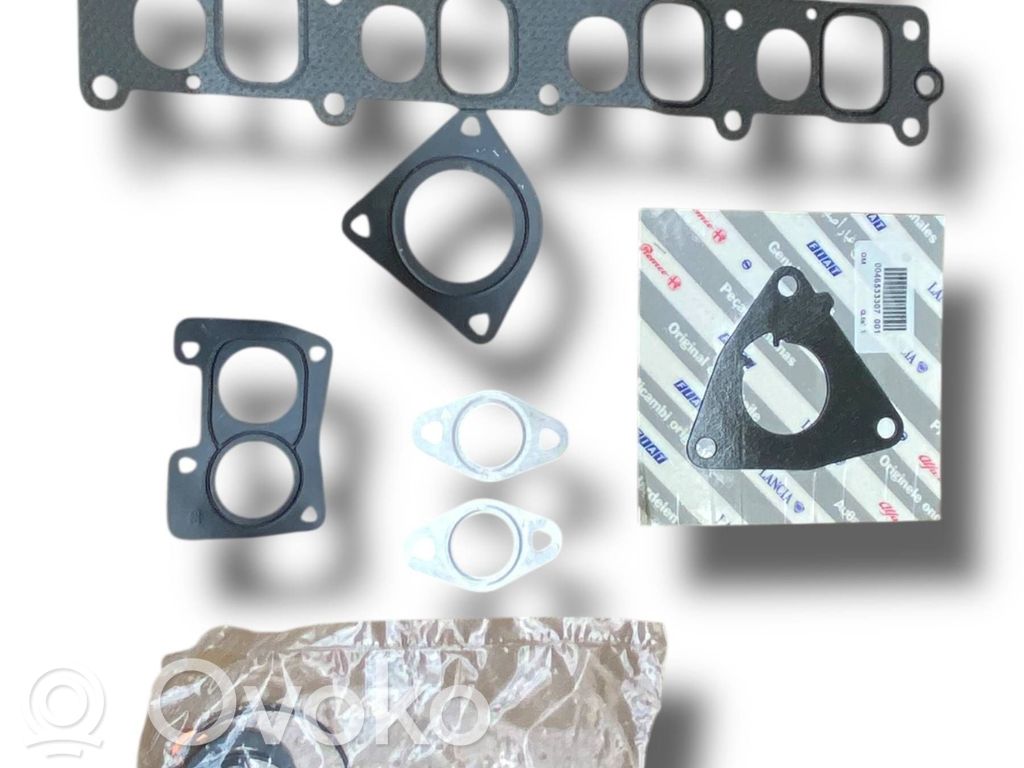 Fiat Punto (199) Front door rubber seal 