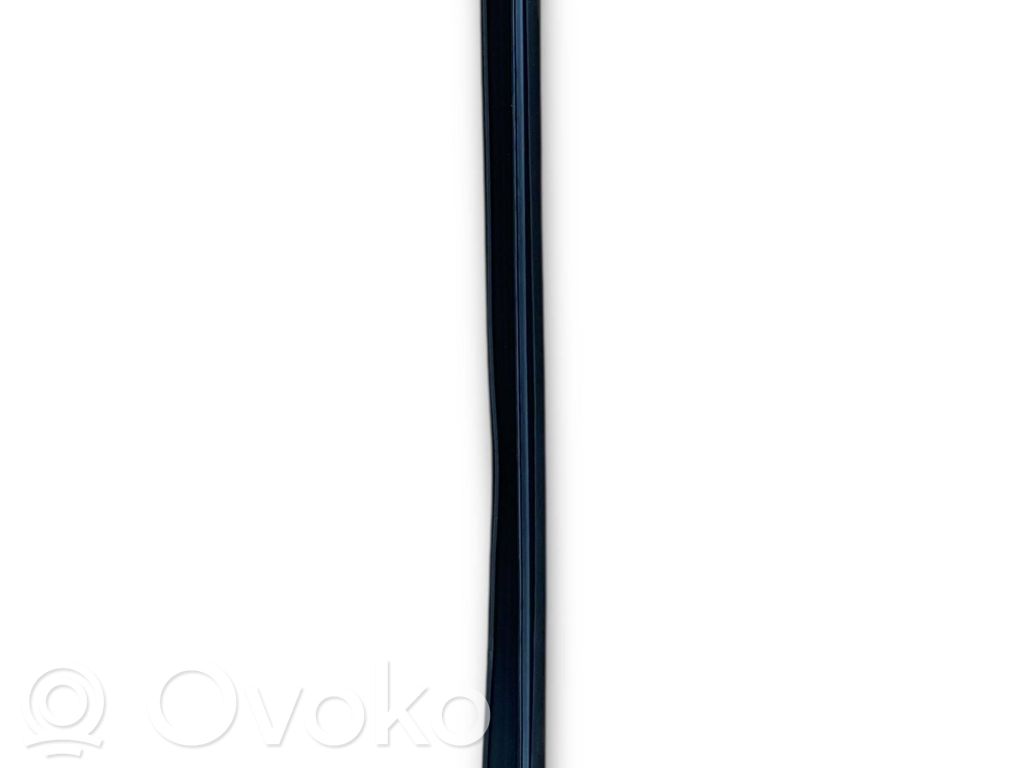 Ford Focus Gummidichtung Tür vorne 