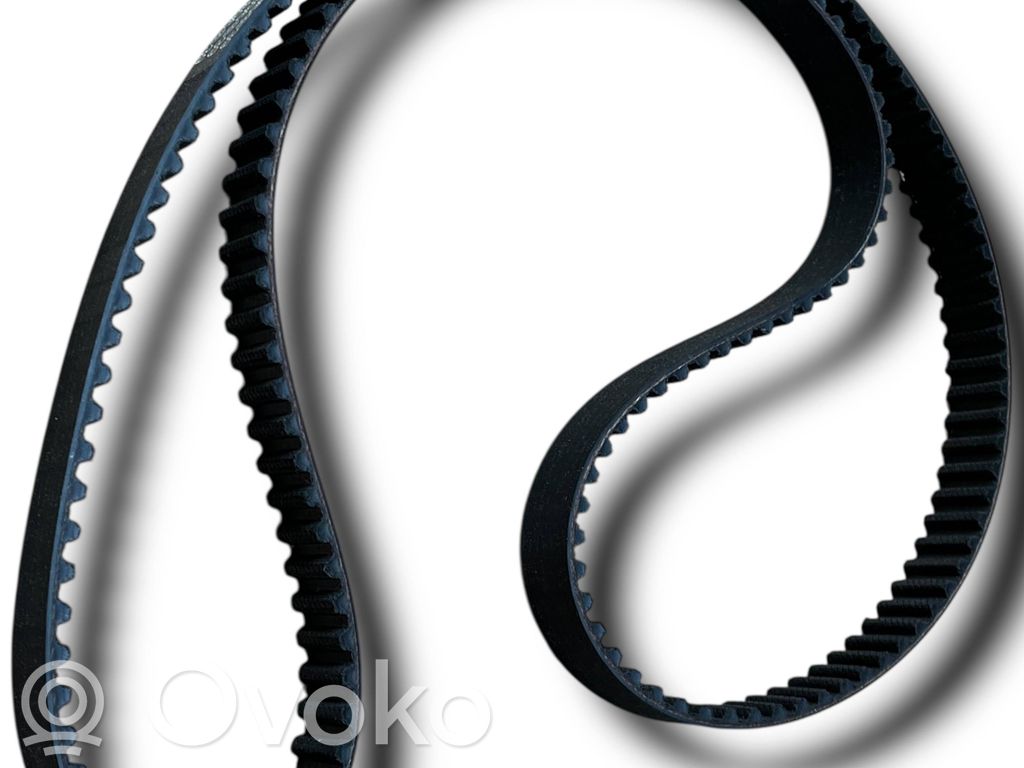 Ģeneratora siksna   D684,24451896