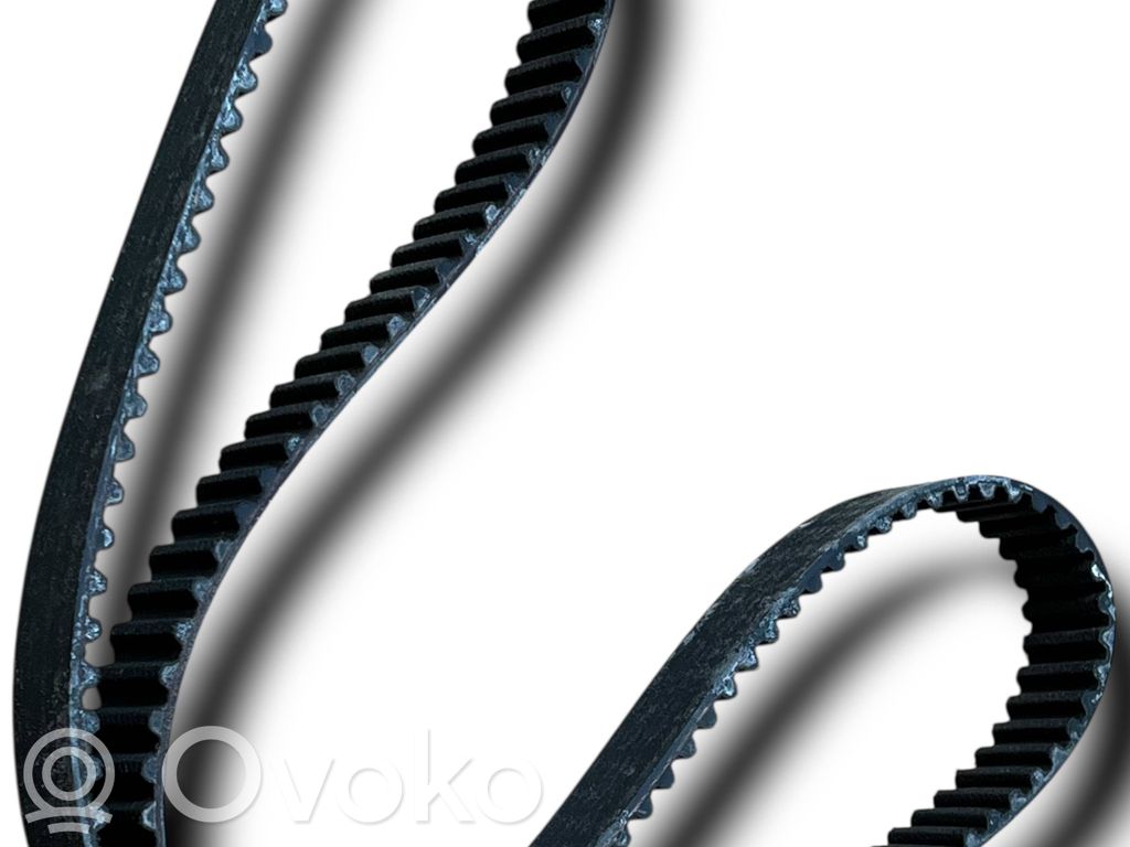 Fiat Idea Alternator belt 