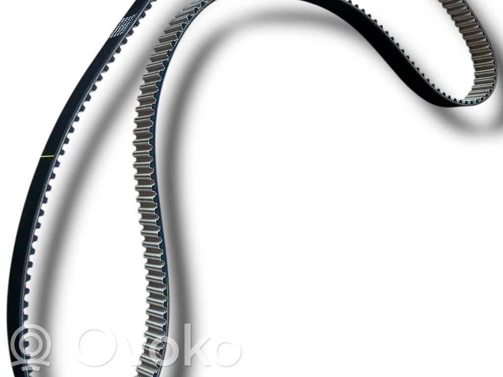 Ģeneratora siksna   D693,93185336