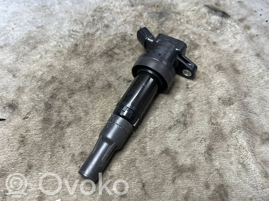 High voltage ignition coil   2730103200