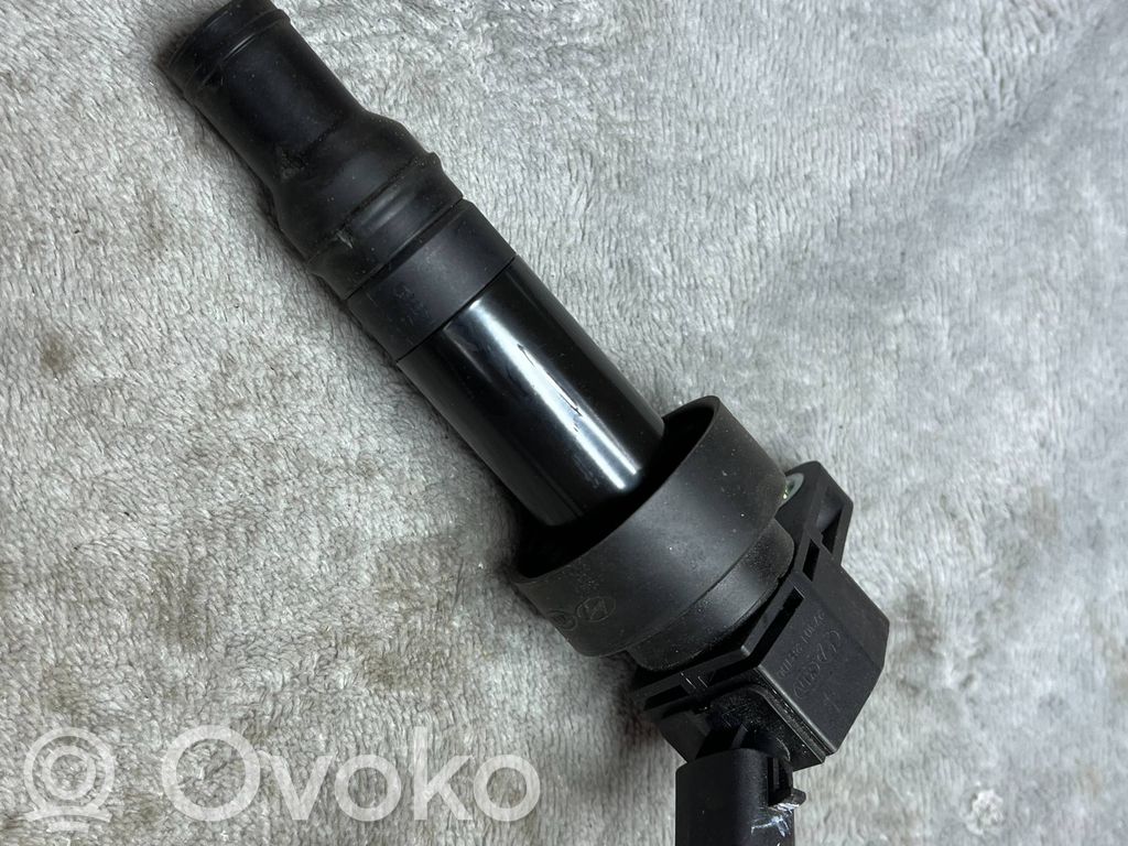 High voltage ignition coil   273012B100