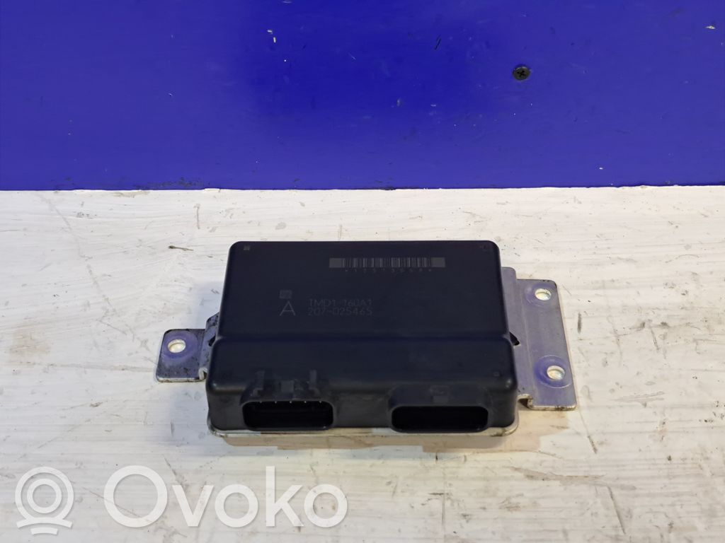 Engine control unit/module   12S730S9,TMD1160A1