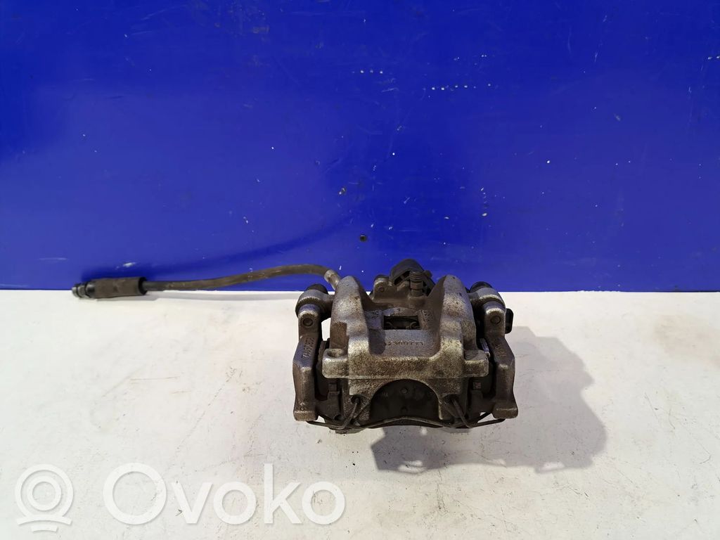 Takajarrusatula   32329111,P32329111