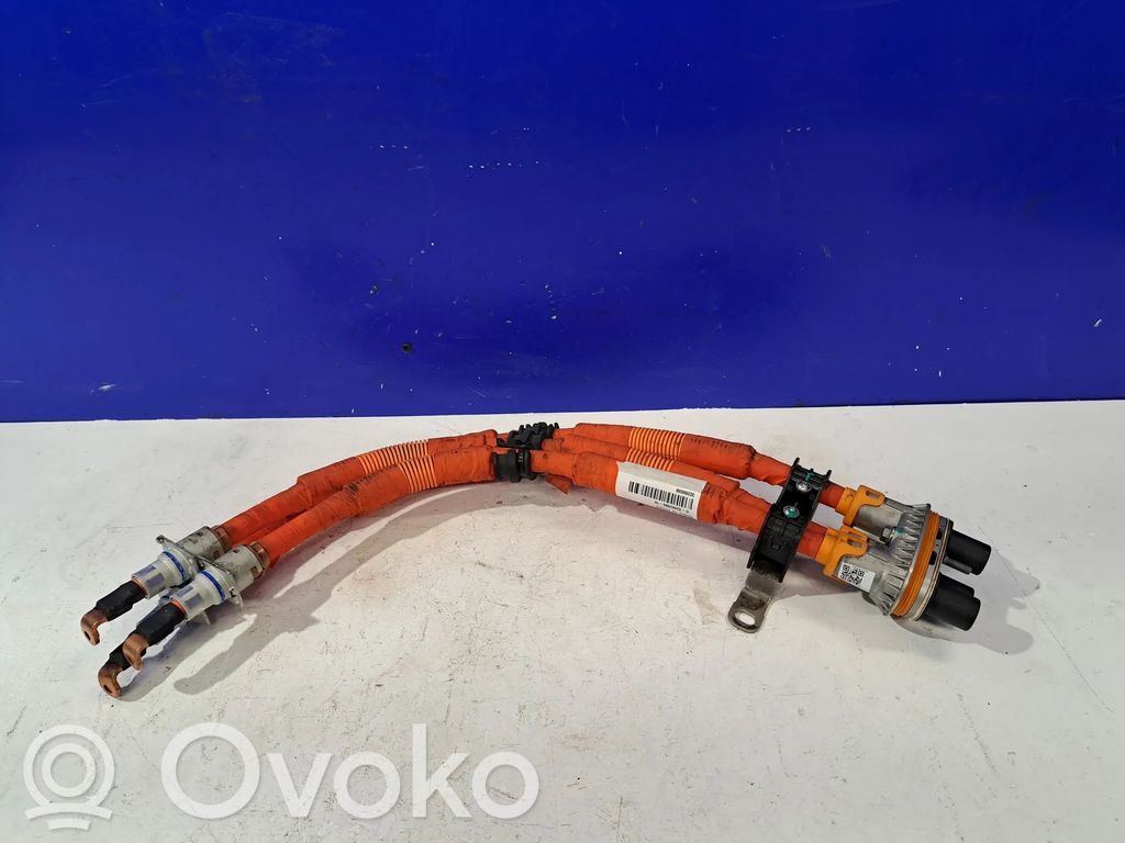 Plug wire   32286698
