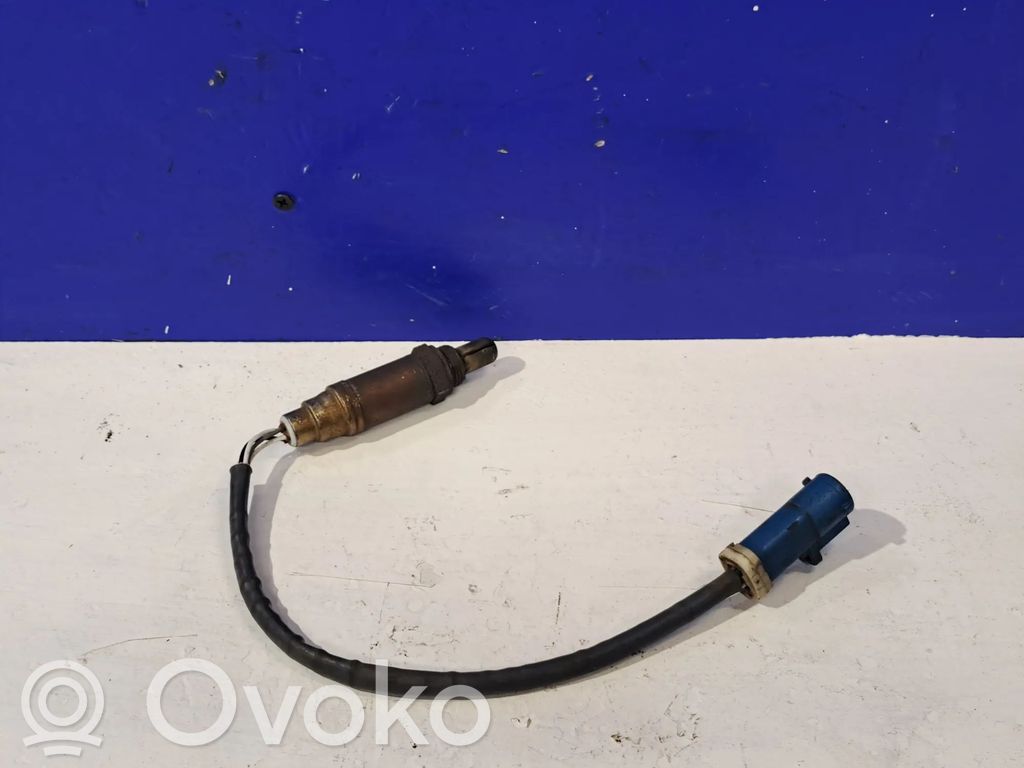 Ford Focus Lambda zondas 