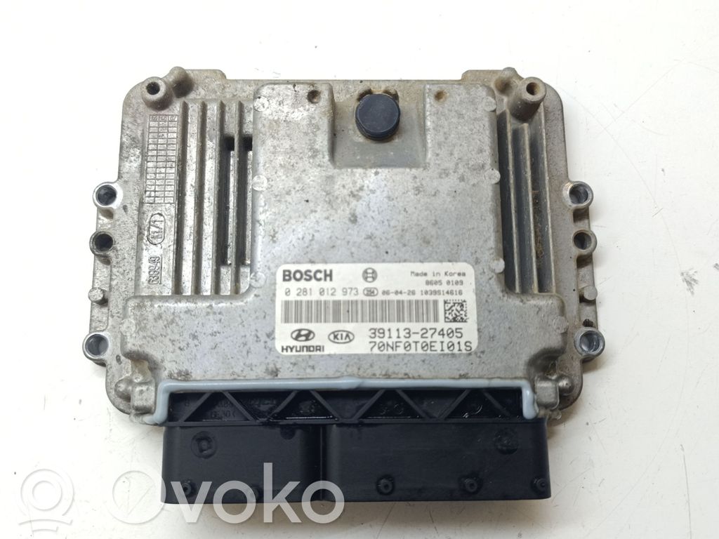 Engine control unit/module   3911327405,0281012973,70NF0T0EI01S