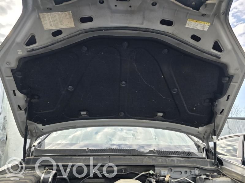 Opel Antara Capó/tapa del motor 