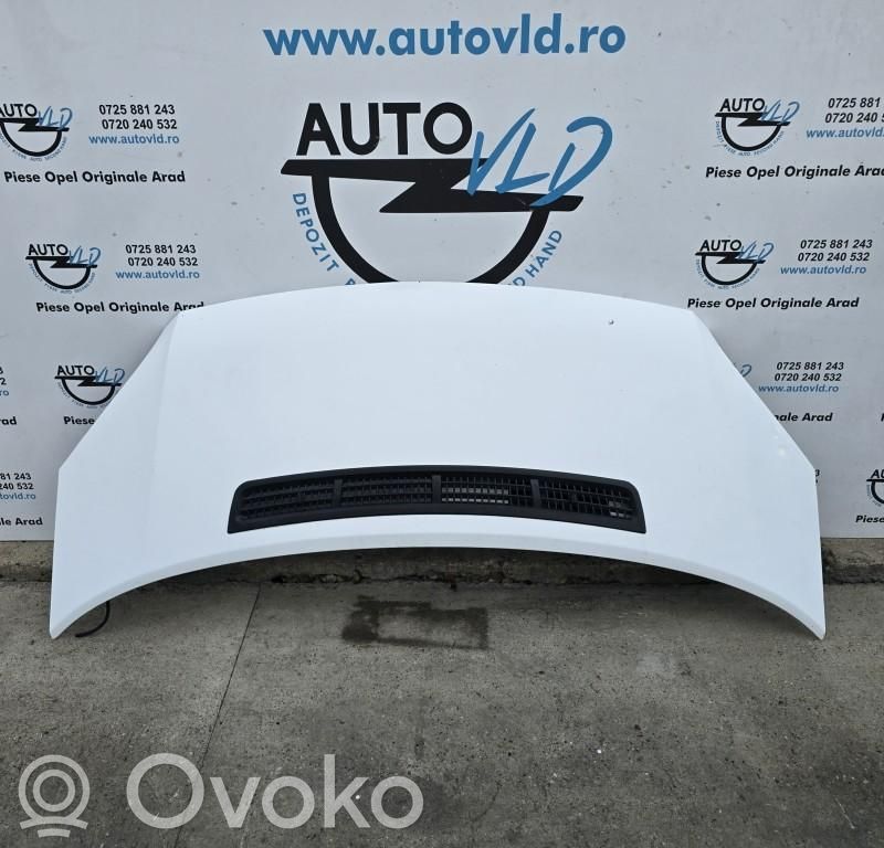 Engine bonnet/hood
