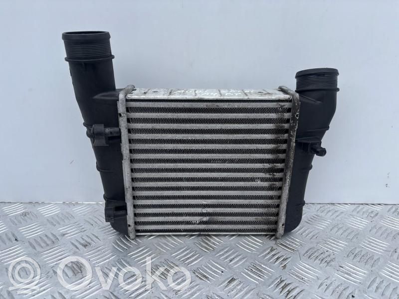Audi A4 S4 B7 8E 8H Interkūlerio radiatorius 