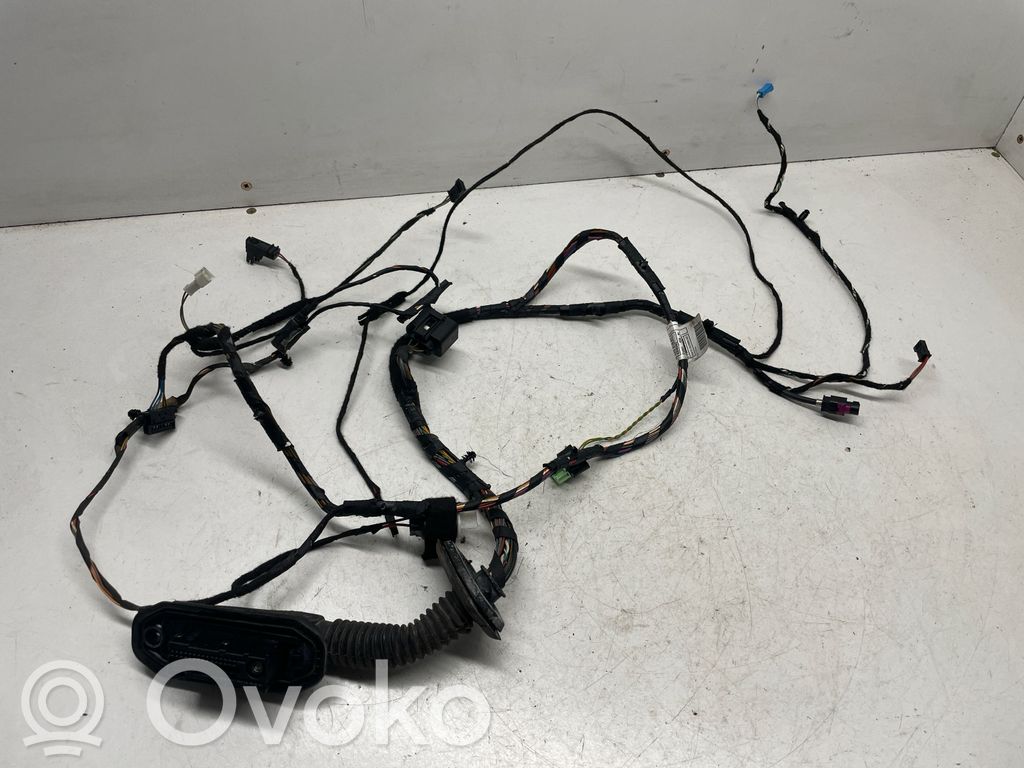 BMW X5 E70 Cableado de puerta delantera 