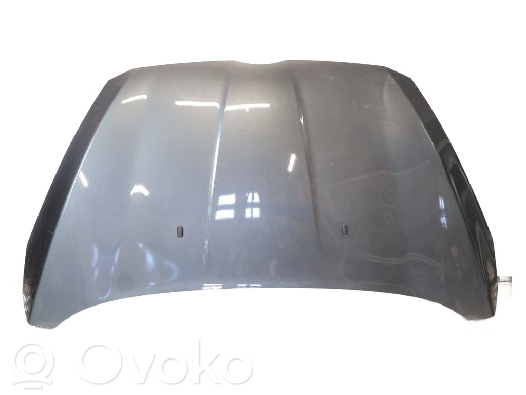 Dzinēja pārsegs (vāks)   2100964
