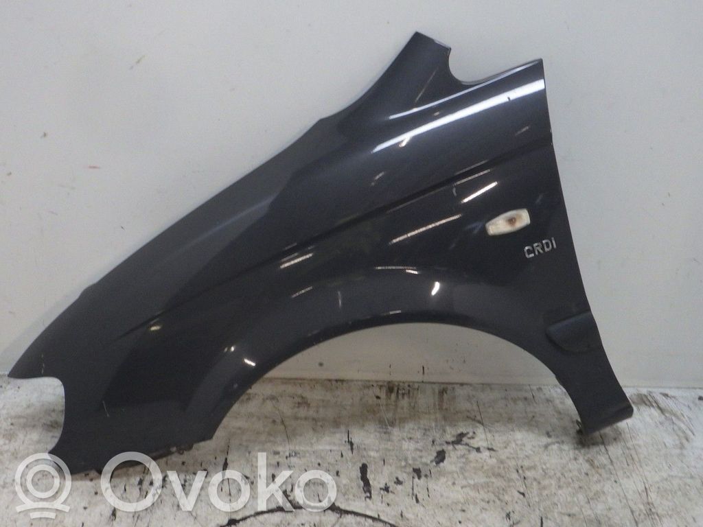 Hyundai Trajet Parafango 