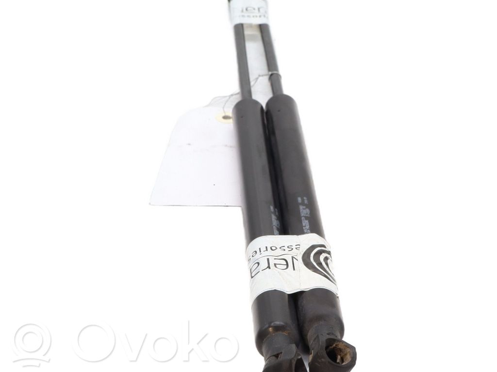 Tailgate/trunk strut/damper   8731L7
