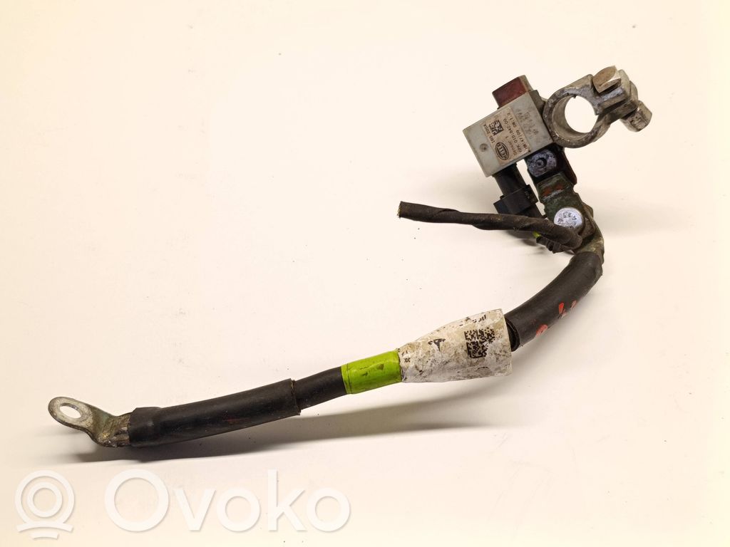 Tesla Model S Cable negativo de tierra (batería) 