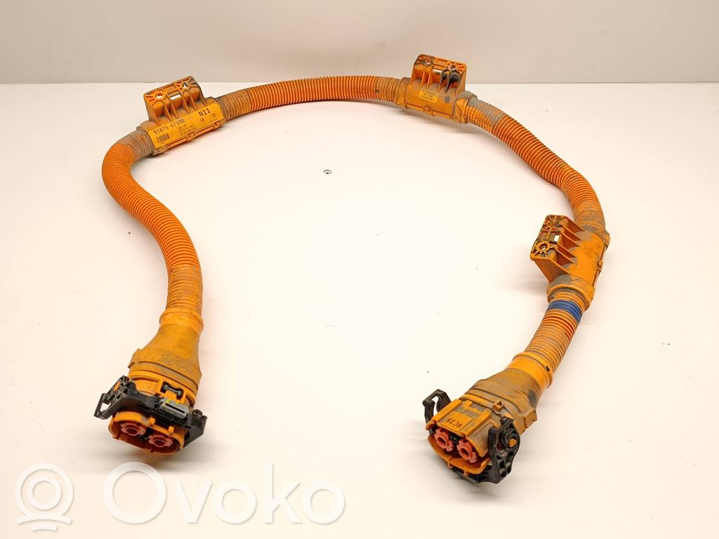 Hyundai Ioniq Other wiring loom 