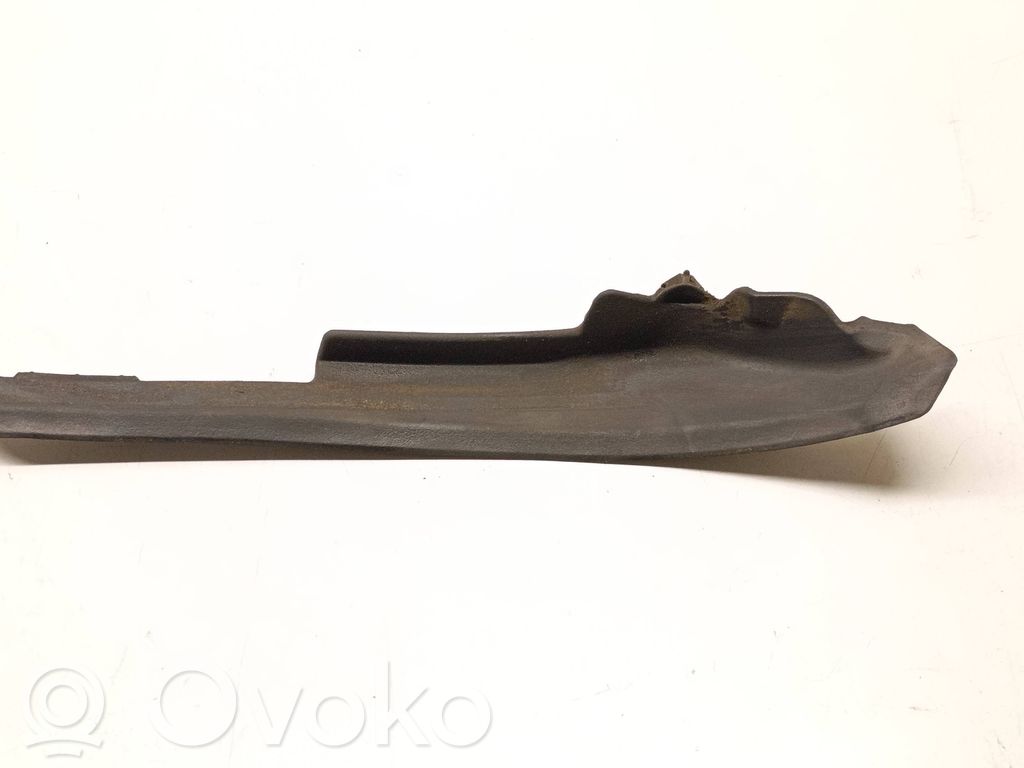 Windshield trim   53823