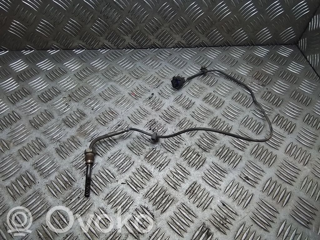 Chevrolet Captiva Exhaust gas temperature sensor 
