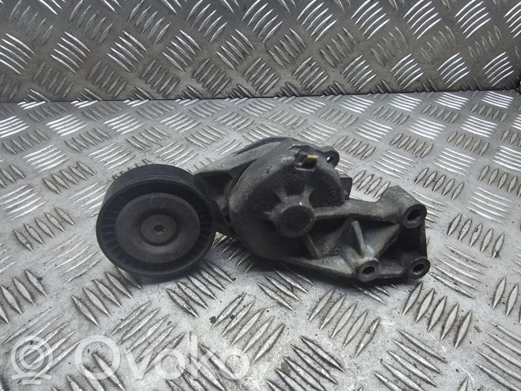 Volkswagen Transporter - Caravelle T5 Întinzător curea generator/alternator 