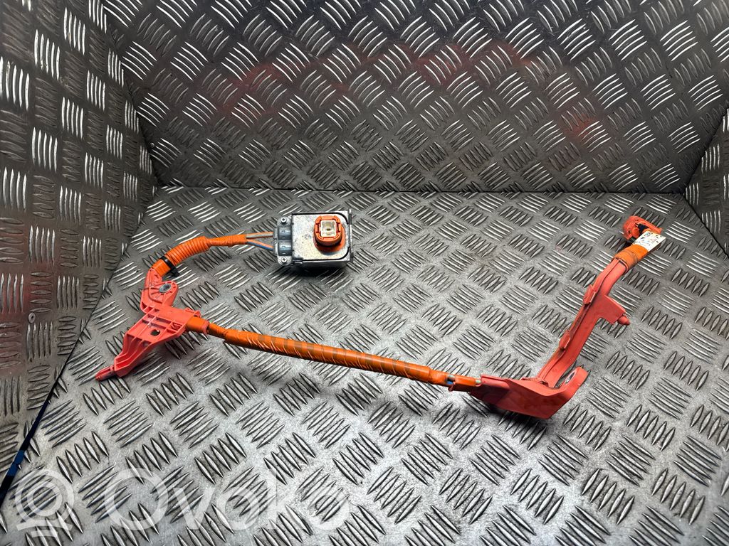 Toyota C-HR I Other wiring loom 