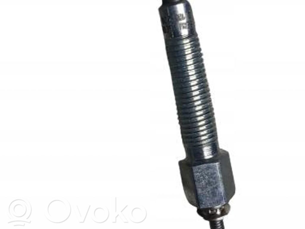 Spark plug   11065