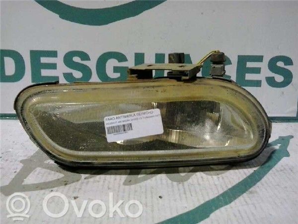 Peugeot 406 Fendinebbia anteriore 