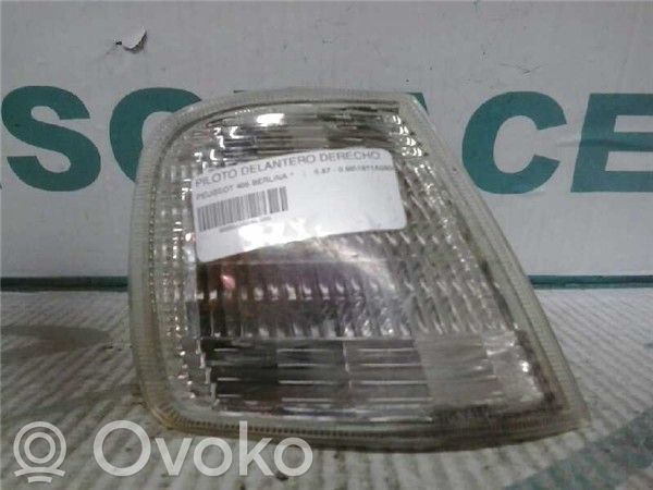 Peugeot 405 Piloto intermitente delantero 