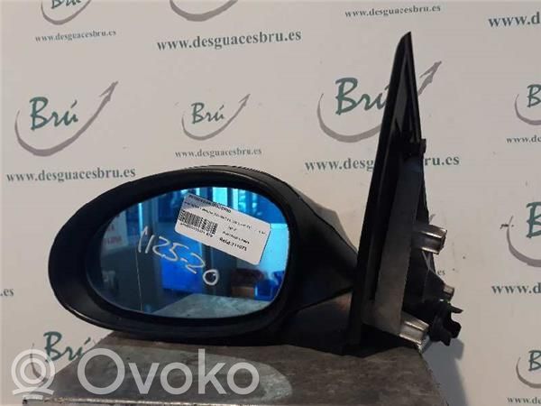 Manual wing mirror   GRIS